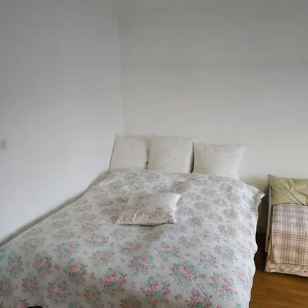 Apartman F3/f4 5 Min Centre Ville A Pied Colmar